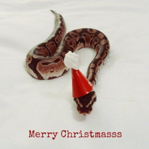 gregandev/secret-santa-py